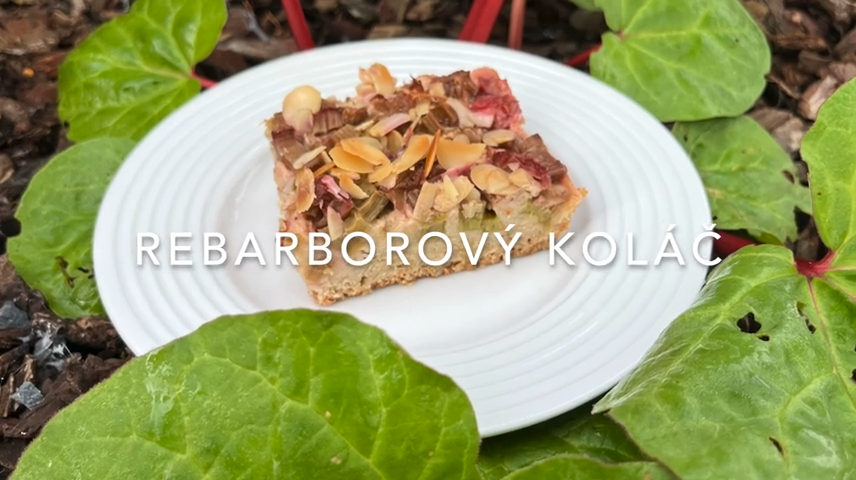 Light and Delicious Rhubarb Cake Recipe: Watch the Video Now